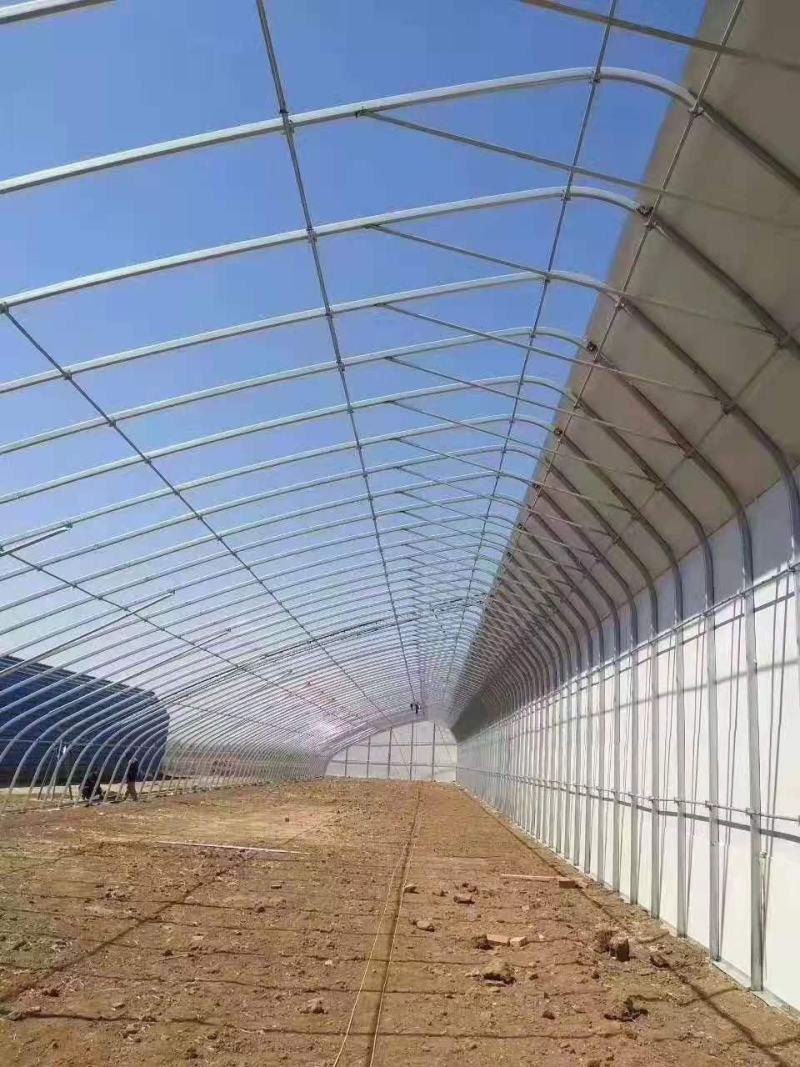 大棚蔬菜棚温室棚大棚生产厂家