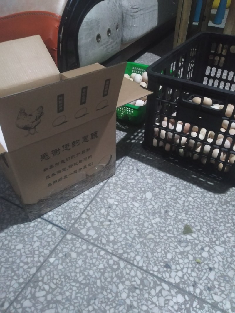 山地农家土鸡蛋，一年龄，原生态，百家蛋，100枚每箱。
