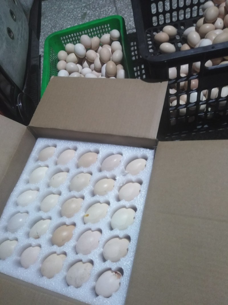山地农家土鸡蛋，一年龄，原生态，百家蛋，100枚每箱。