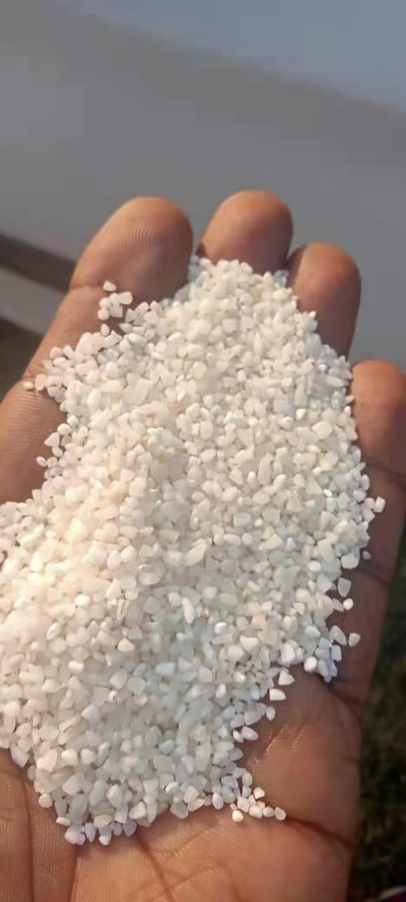 东南亚进口碎米，大米