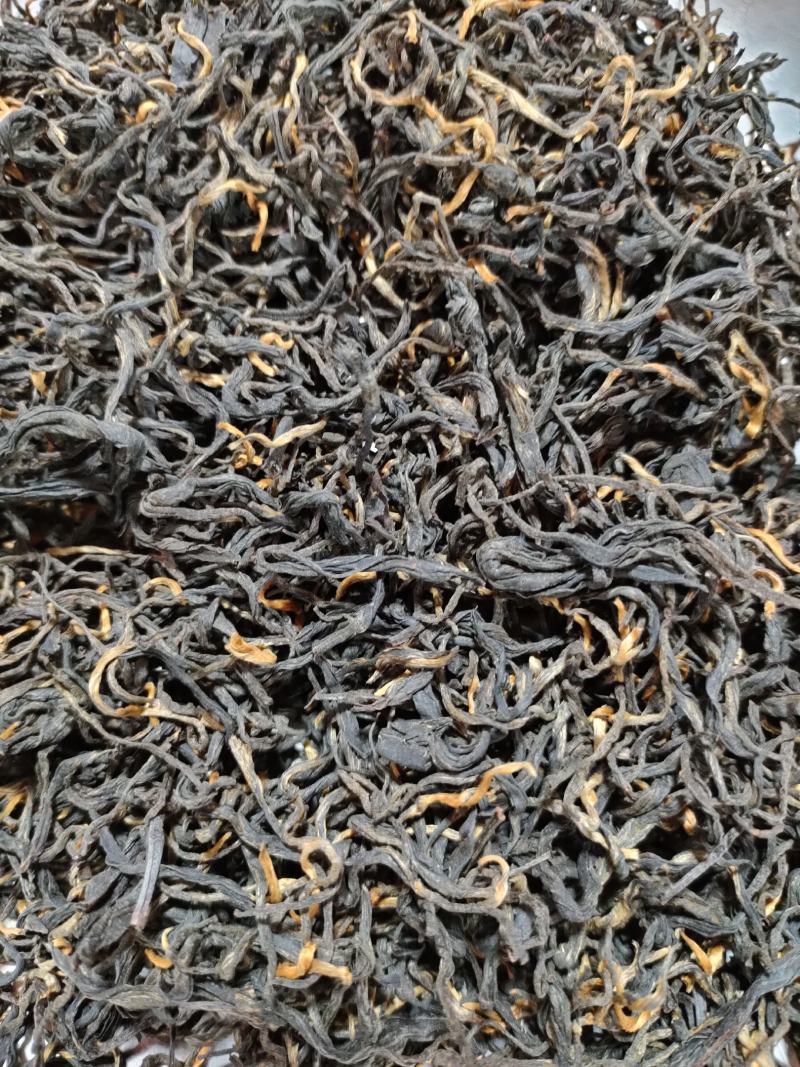清远英德高山英红九号红茶