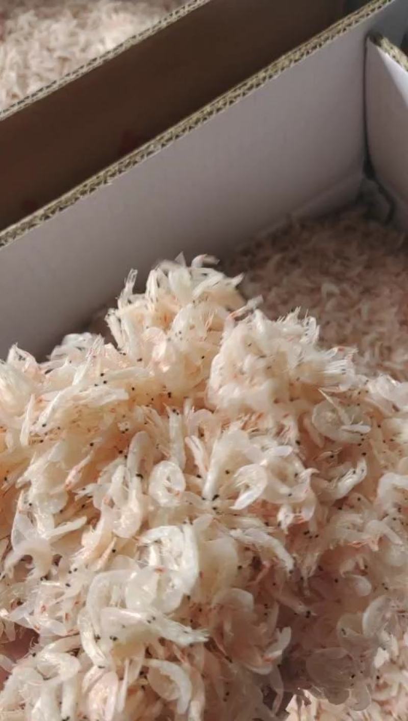 淡干无盐虾皮干度好加工户直销供口感好赶大集跑江湖畅销货