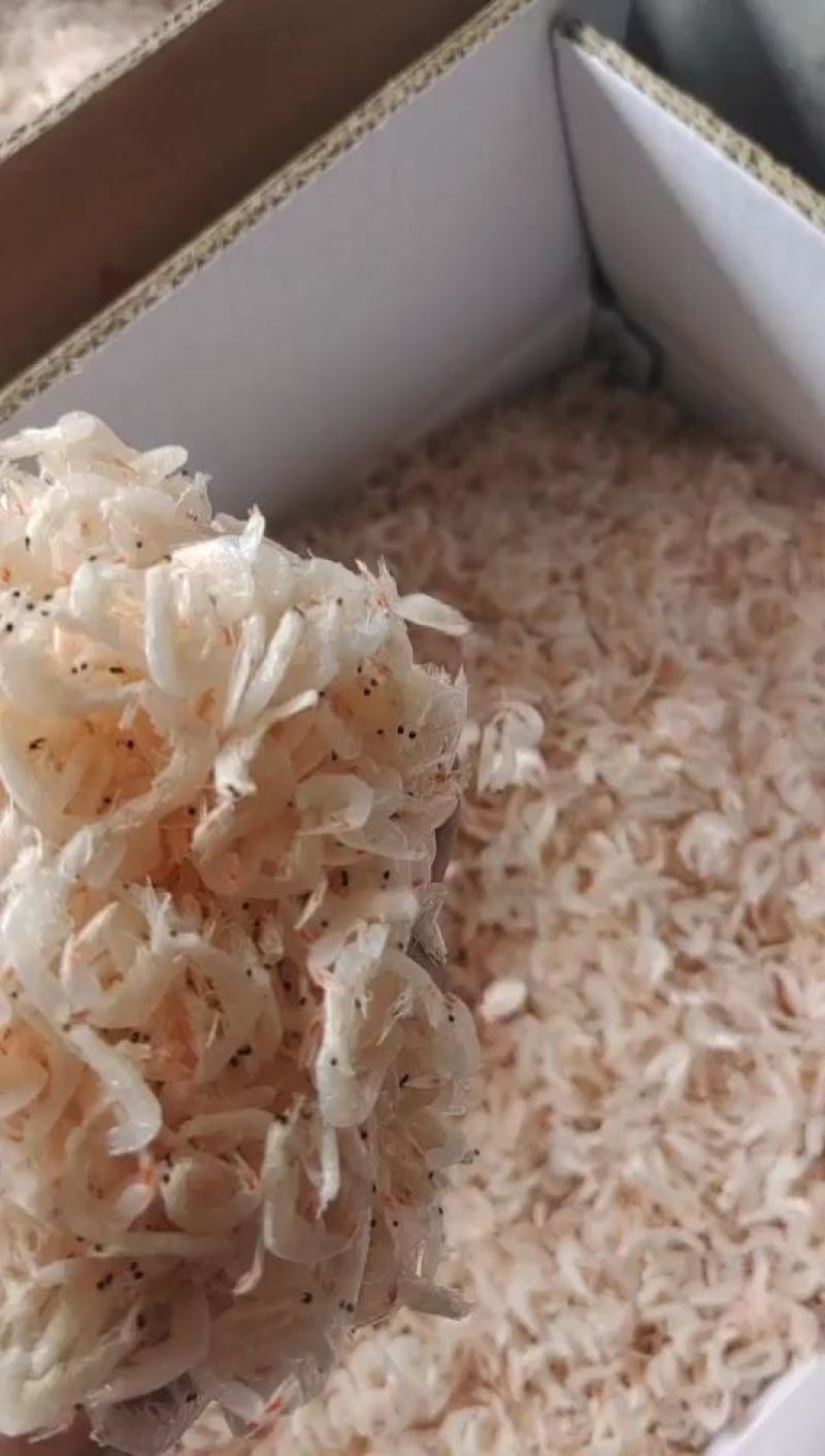 淡干无盐虾皮干度好加工户直销供口感好赶大集跑江湖畅销货