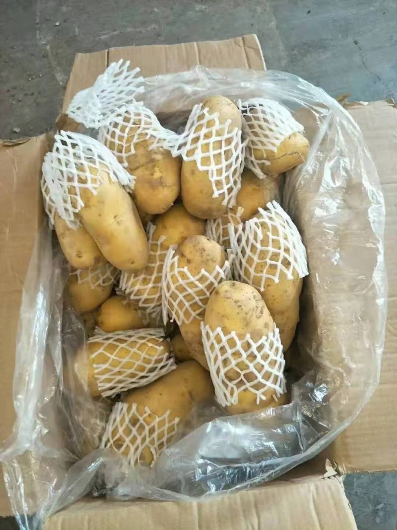 滨州惠民冷库土豆大量供应，价格低，质量好