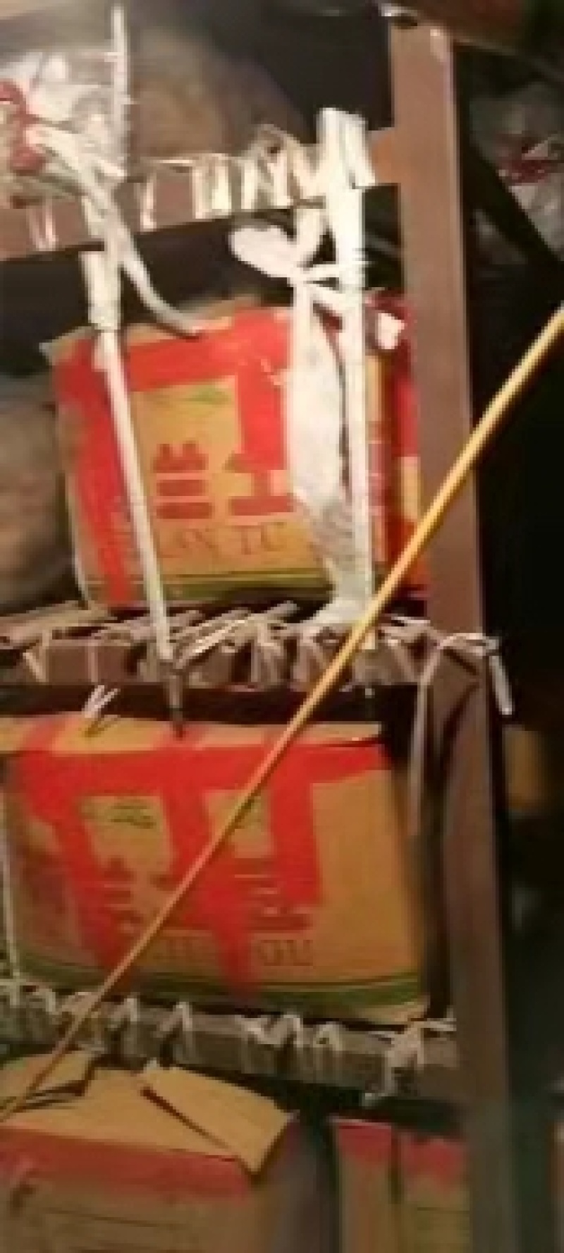滨州惠民冷库土豆大量供应，价格低，质量好