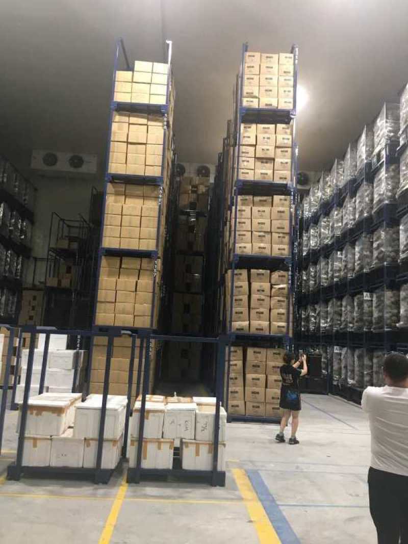 正宗马来西亚猫山王D197双a规格4-6头优惠热销
