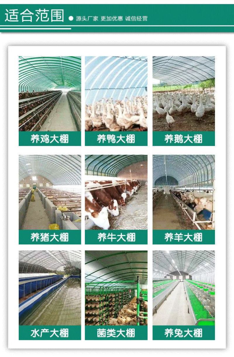 成套大棚货到付款养殖大棚养猪牛羊鸡鸭鸽鹅大棚