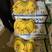【实力商家】上海金黄蕉大量现货，一箱净重27斤坏果包赔