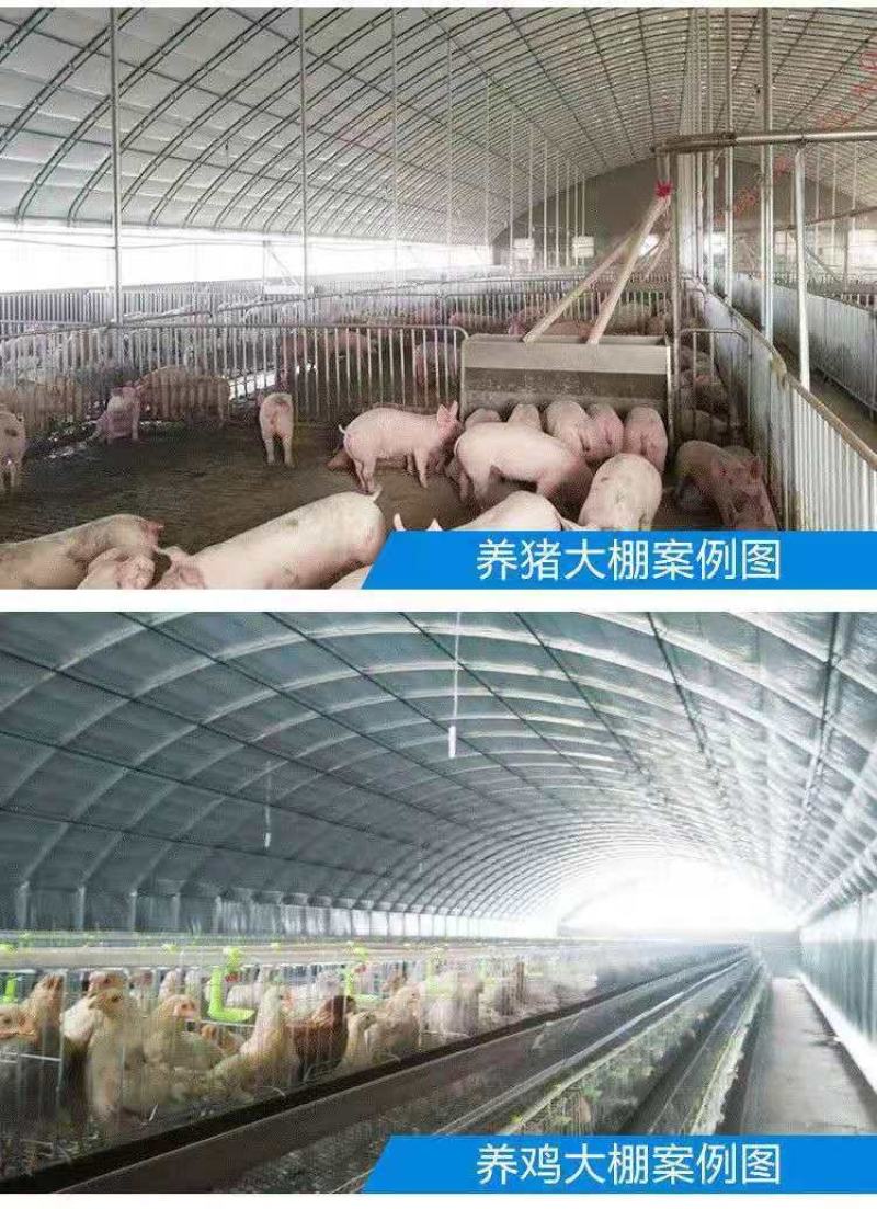 成套大棚货到付款养殖大棚养猪牛羊鸡鸭鸽鹅大棚
