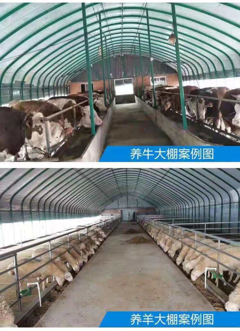 成套大棚货到付款养殖大棚养猪牛羊鸡鸭鸽鹅大棚