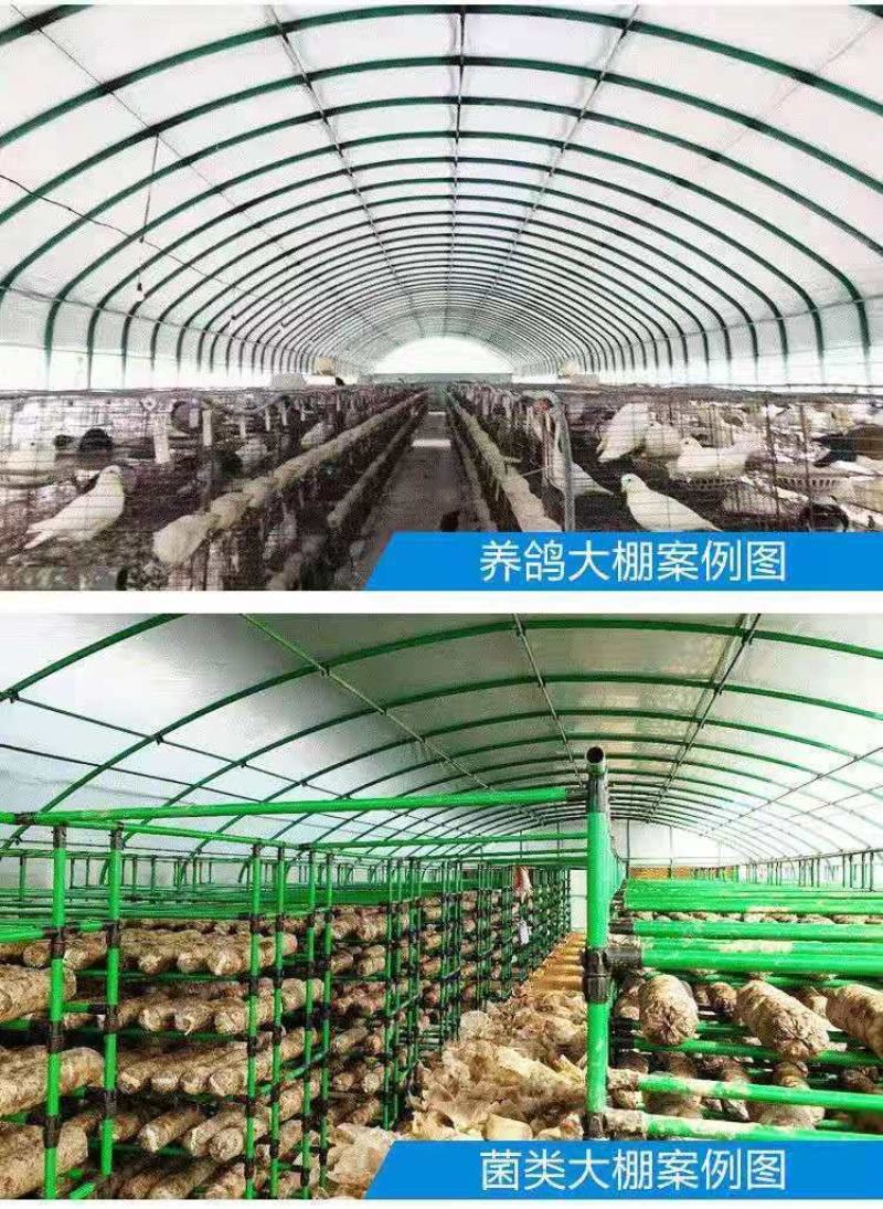 成套大棚货到付款养殖大棚养猪牛羊鸡鸭鸽鹅大棚