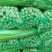 精品芹菜大量上市中欢迎新老客户致电咨询常年有货