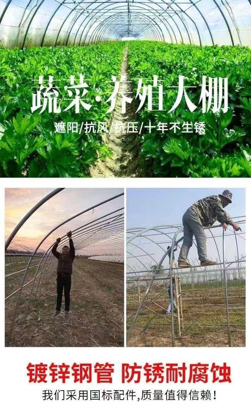 大棚温室骨架镀锌管西瓜大棚蔬菜大棚养殖大棚联栋大棚温室