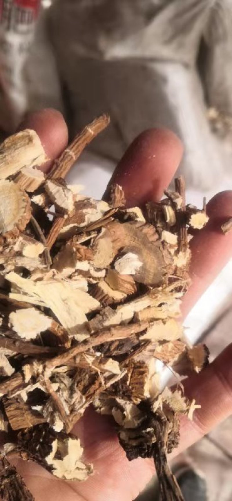 正宗无硫苦参片500克正品好货颜色好价格低有整根的