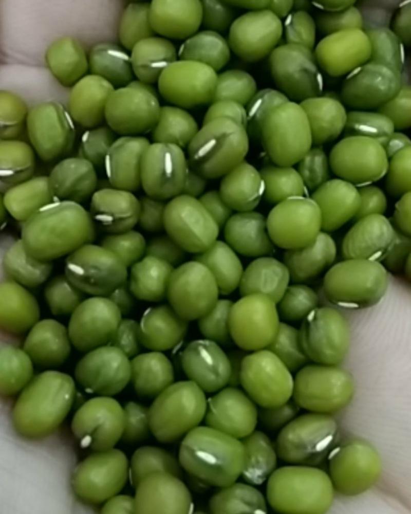 油绿豆，澳洲大粒绿豆