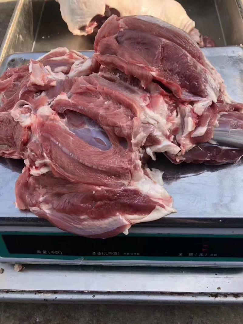 自然块鲜羊肉去骨羊腿包净肉，价格低，量大从优