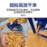 包邮全自动玉米脱粒机家用小型220v电动剥玉米机，保质量