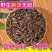 刘寄奴250g500克1000g金寄奴乌藤菜北刘寄