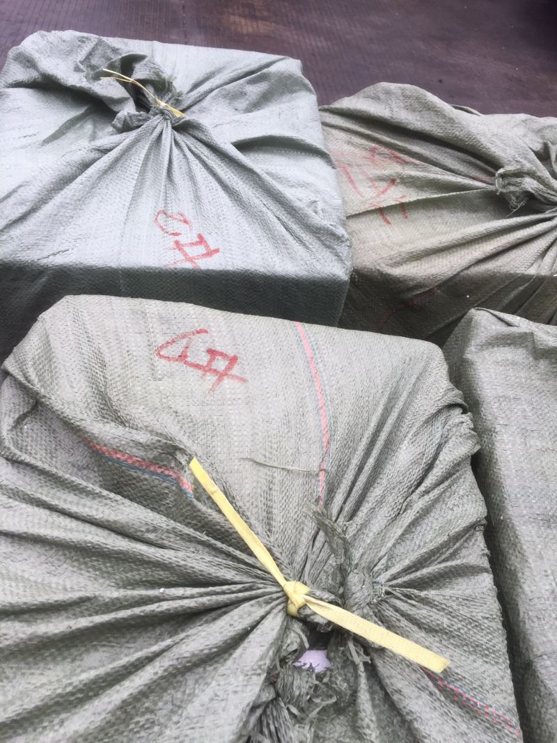 大量出售各种规格冰冻鳜鱼，
