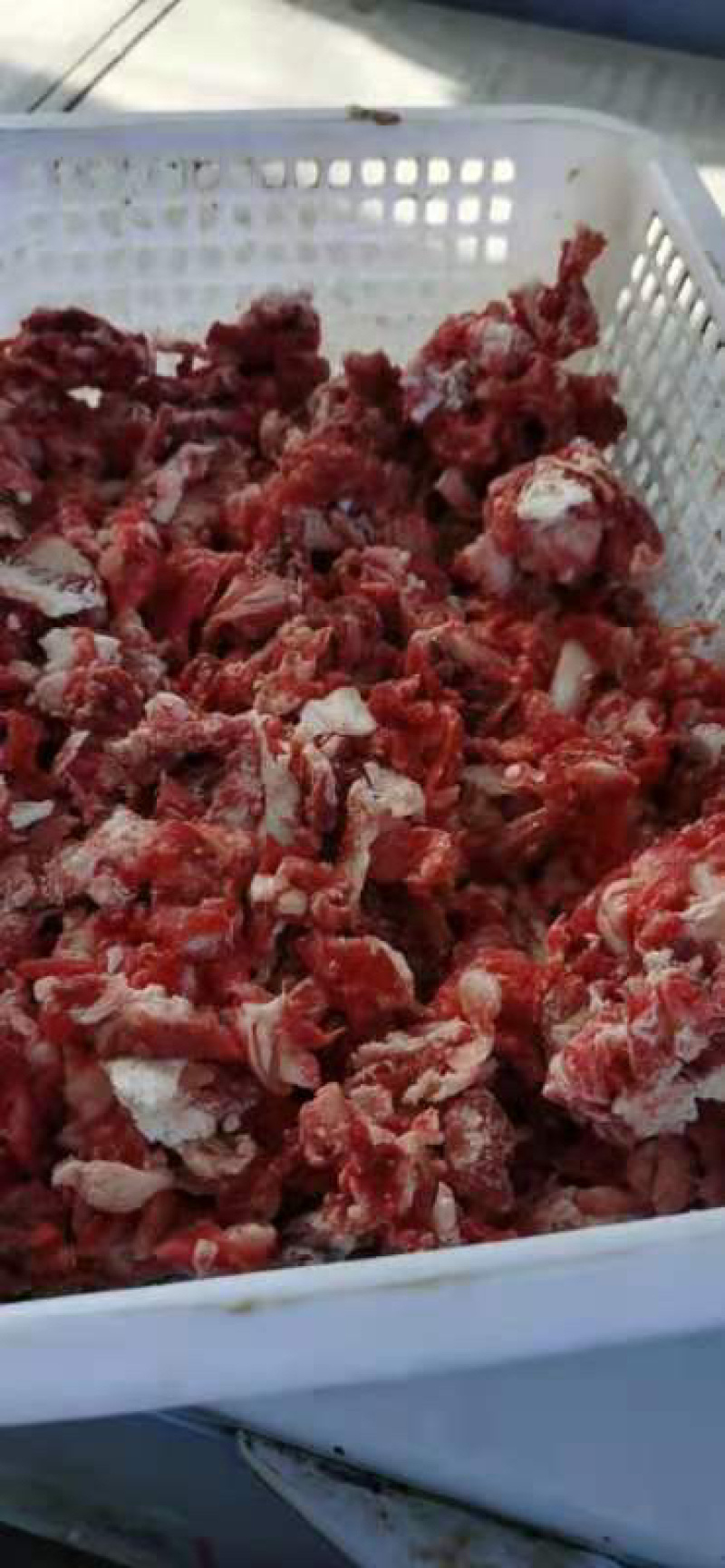 鲜牛碎肉牛碎肉无调理纯牛肉图片就是实物拍摄无水国产牛碎肉