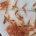 金丝红鲤鱼苗，红鲤鱼苗，鲤鱼苗，大量现货，支持快递，空运