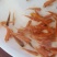 金丝红鲤鱼苗，红鲤鱼苗，鲤鱼苗，大量现货，支持快递，空运