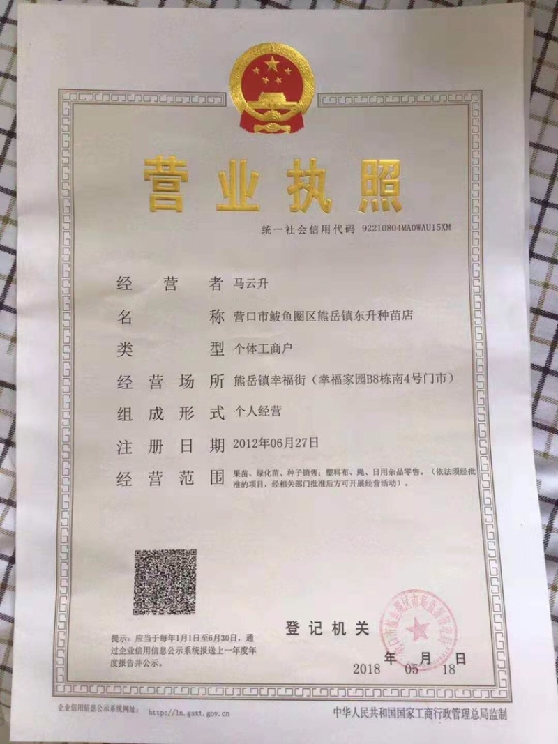 刺槐种子，新种子，不精选