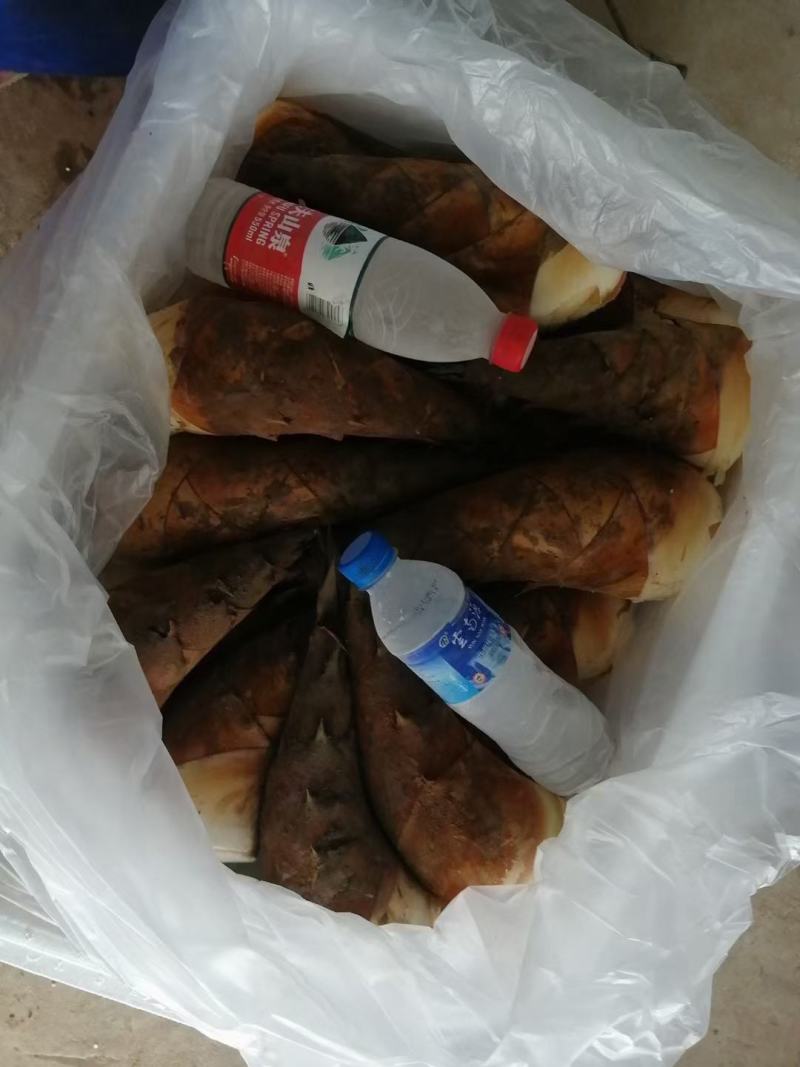 甜龙竹笋丝，片，干货云南普洱农家自制竹笋干竹笋丝