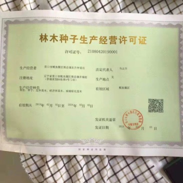 桃树种子嫁接各种桃，大量批发零售，一手货源