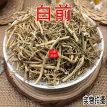 正品云南中药材白前草白前水杨柳石蓝根500克