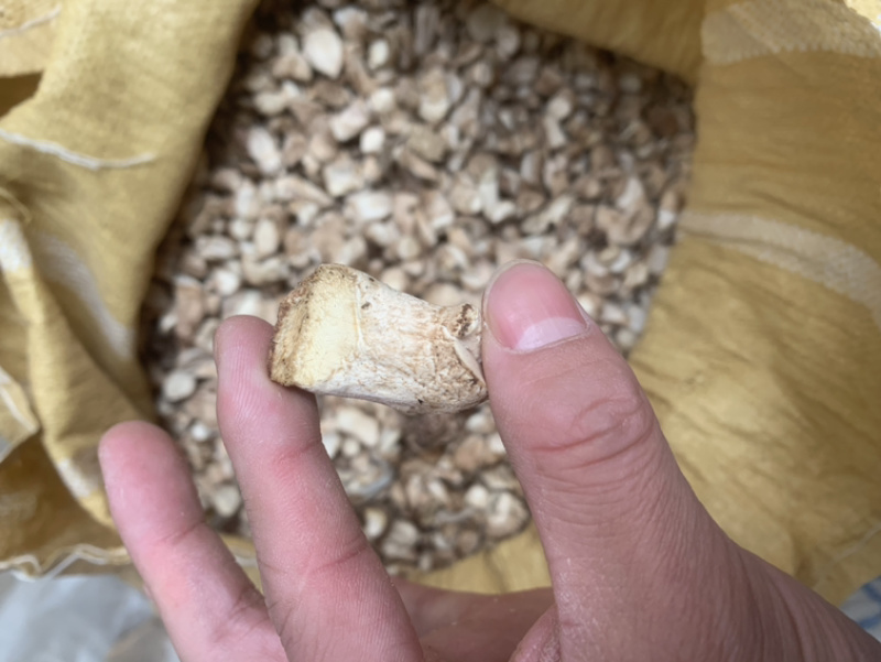 【强烈推荐】双剪脚香菇腿，无杂质，精品香菇腿
