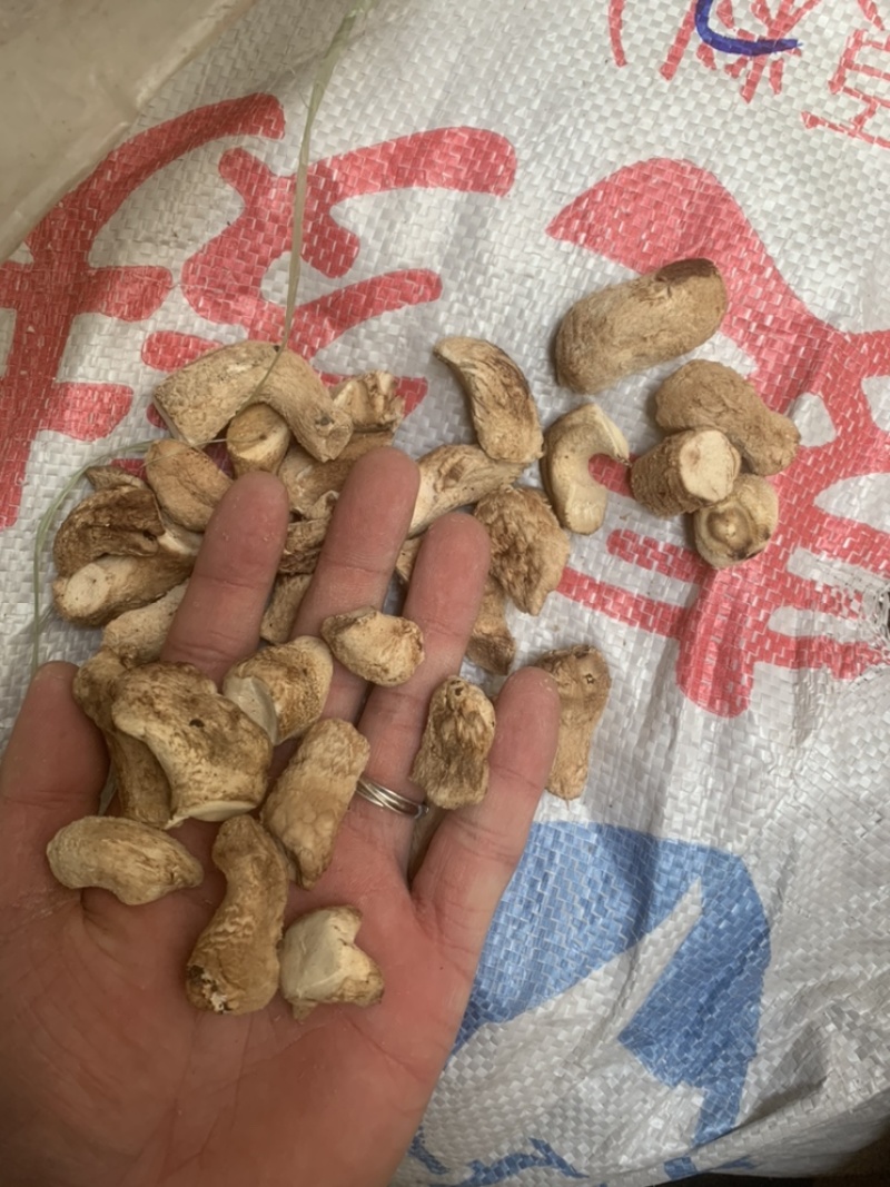 【强烈推荐】双剪脚香菇腿，无杂质，精品香菇腿