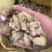 【强烈推荐】双剪脚香菇腿,无杂质,精品香菇腿