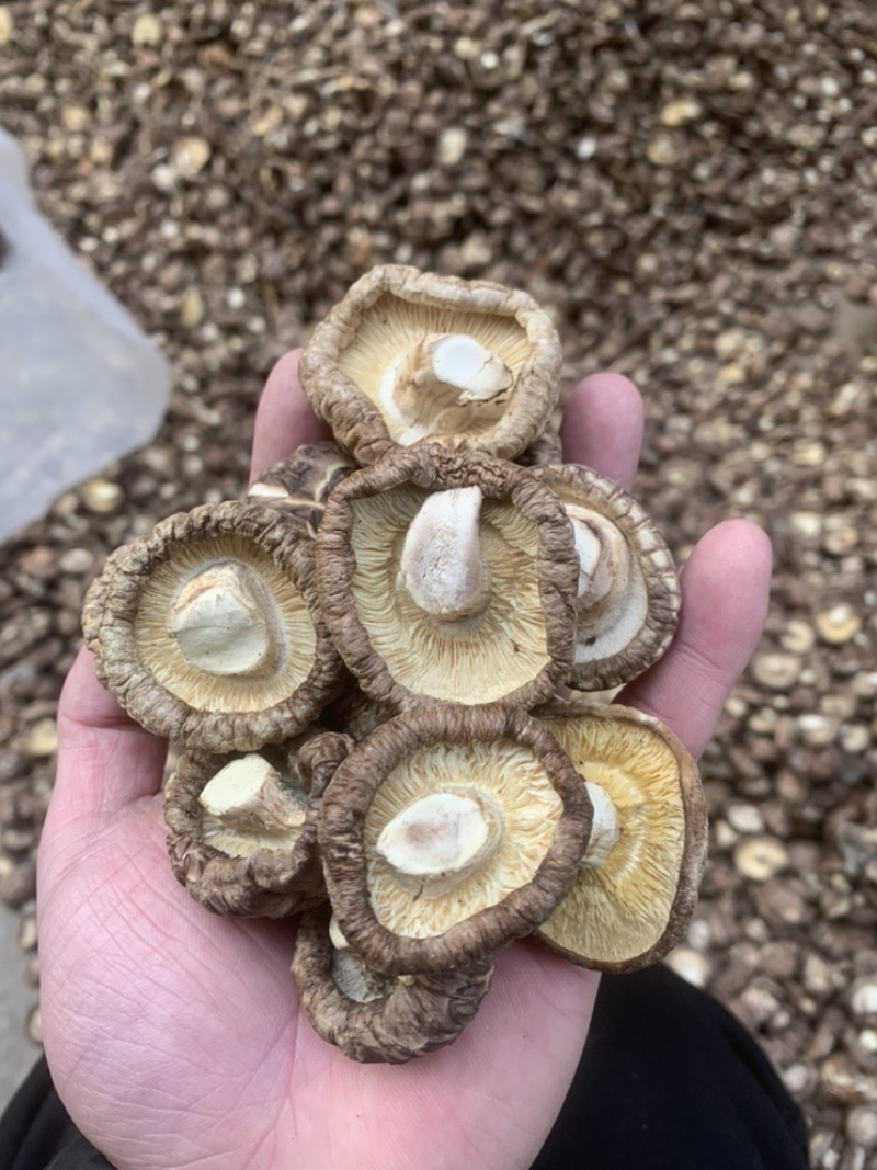 【精选】干香菇，茶花菇花菇肉厚产地直销，货源充足，