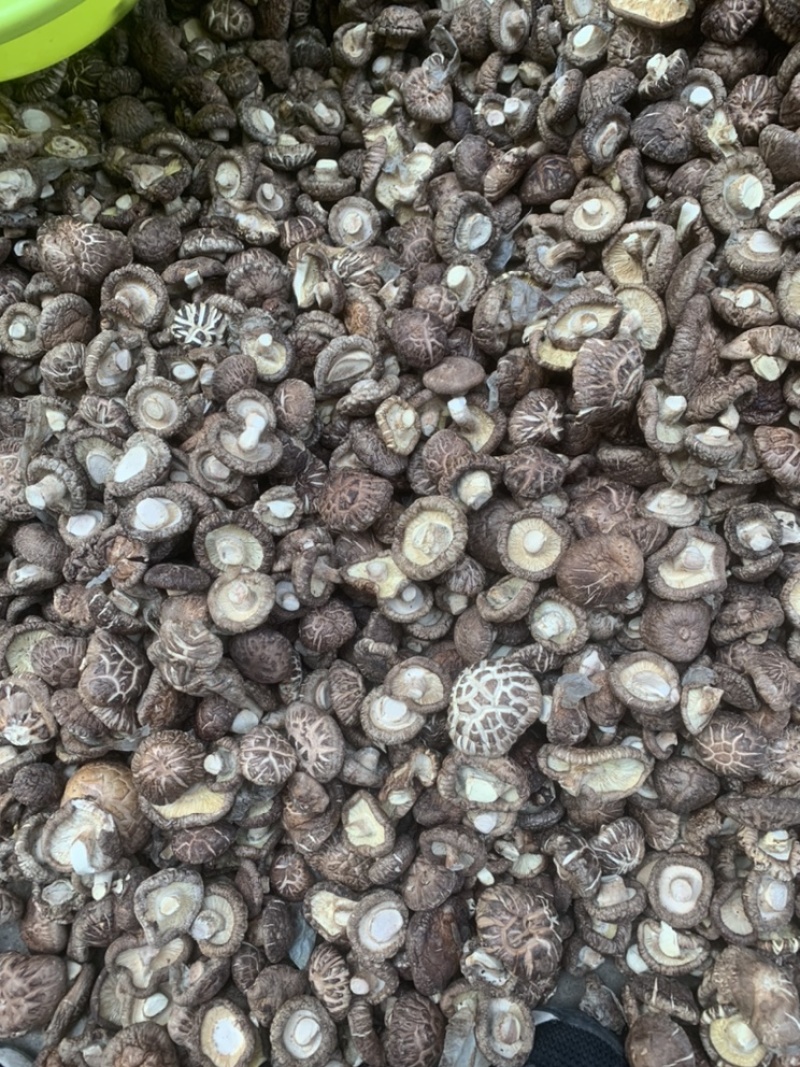 【精选】干香菇，茶花菇花菇肉厚产地直销，货源充足，