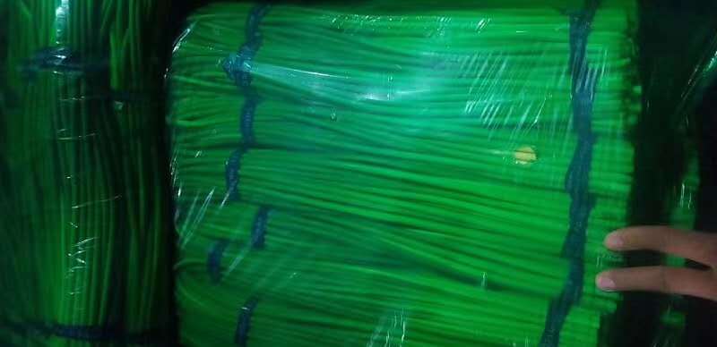 邳州精品改把白帽蒜苔邳州精品改把白帽蒜苔