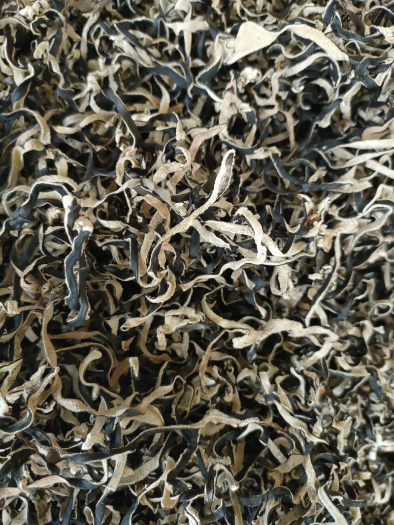 精选木耳丝精品木耳丝木耳丝产地直销