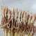 香辣小黄鱼去头去内脏腌制好，适合快餐店，学校，工地