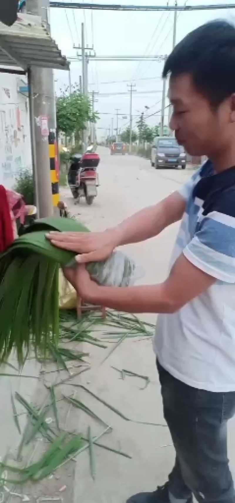 【推荐】精品大粽叶，江苏特产，宽长柔软，欢迎咨询