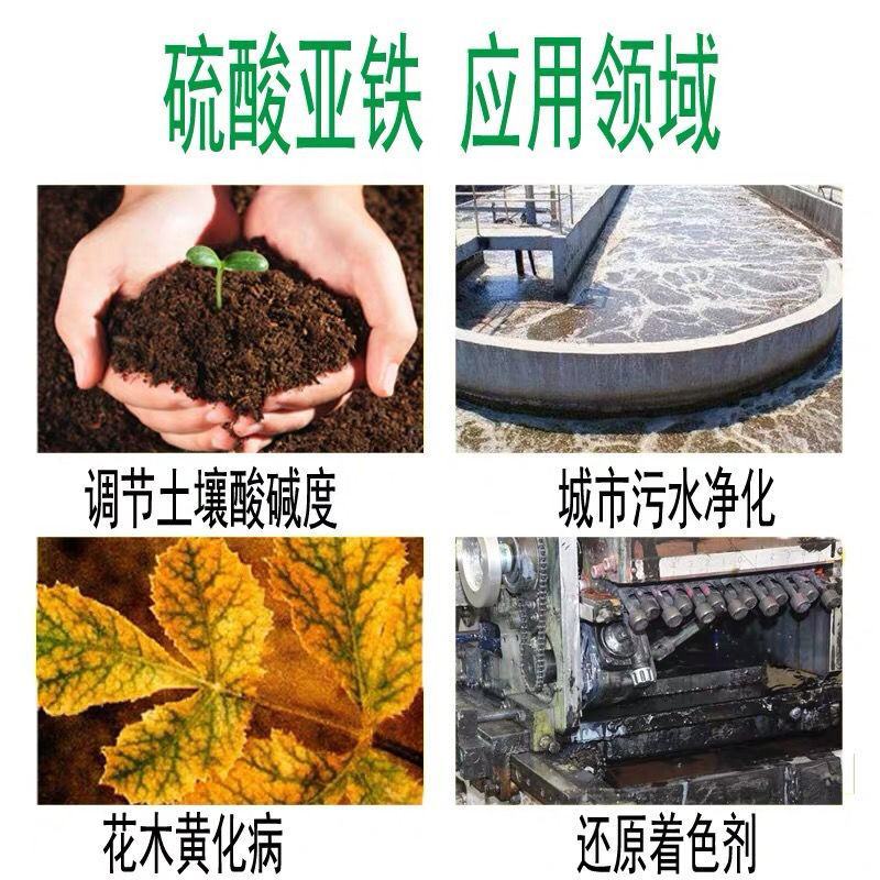 硫酸亚铁七水硫酸亚铁七水绿矾防止黄叶土壤调节