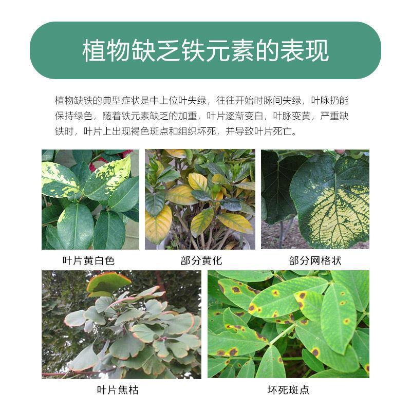 硫酸亚铁七水硫酸亚铁七水绿矾防止黄叶土壤调节