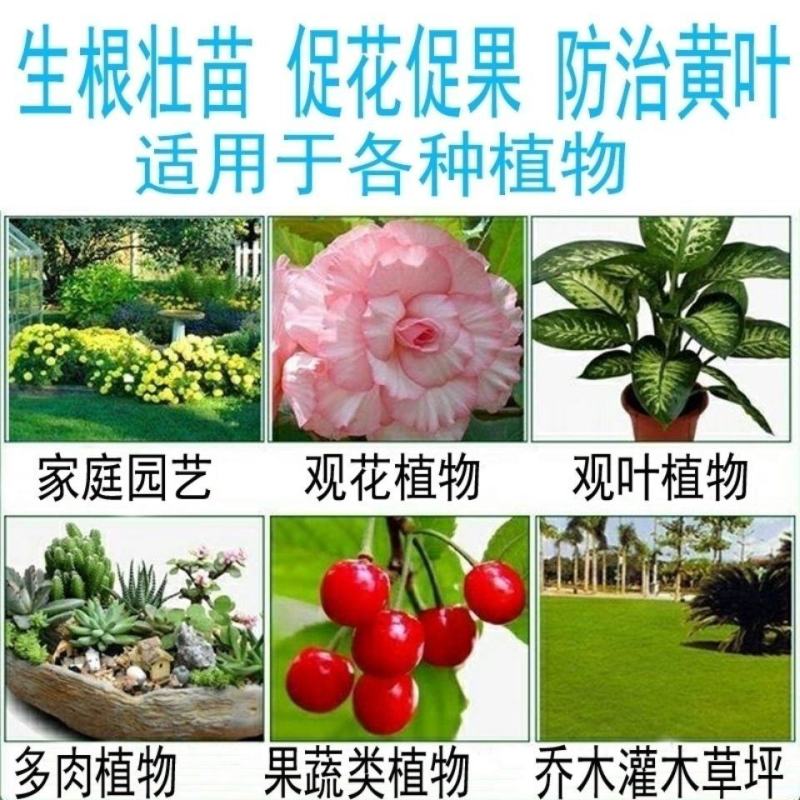 硫酸亚铁七水硫酸亚铁七水绿矾防止黄叶土壤调节