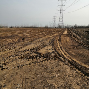 耕地，水浇地，土地，出租，白山药土地出租