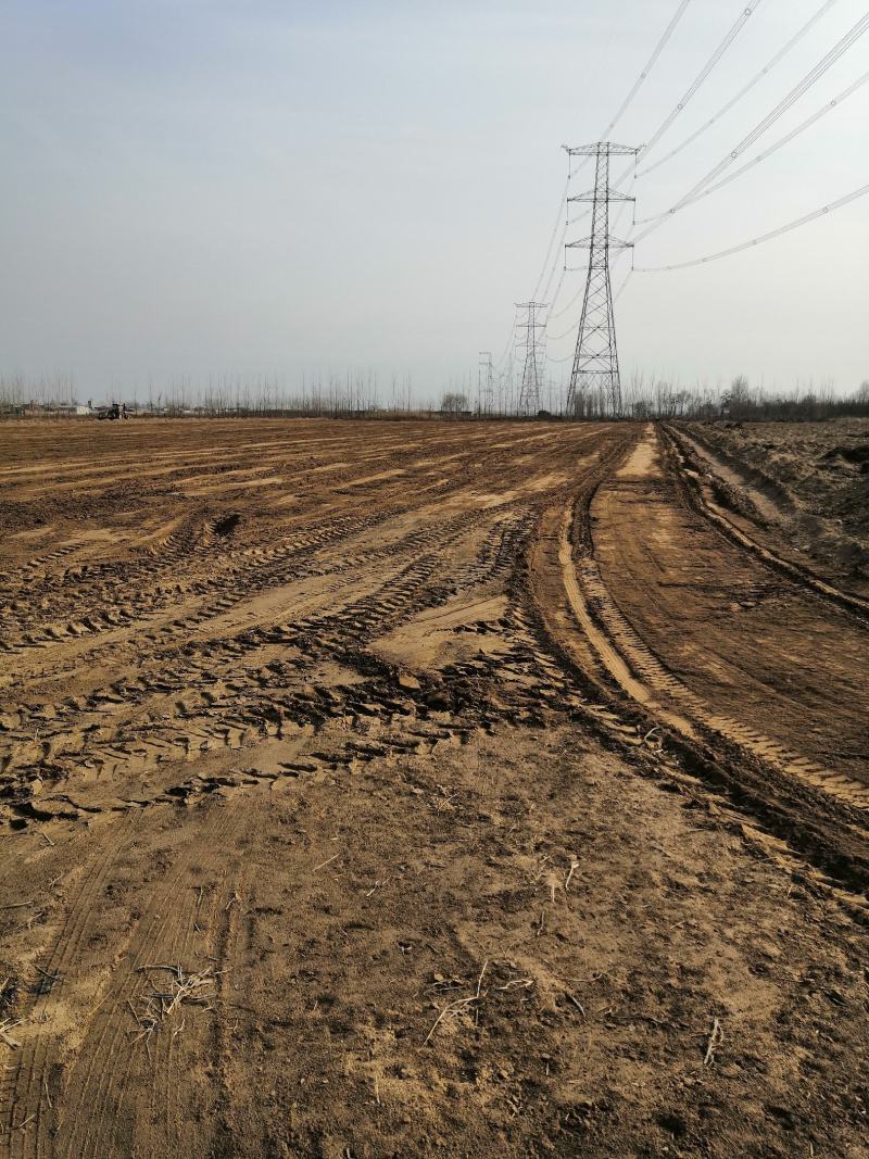 耕地，水浇地，土地，出租，白山药土地出租