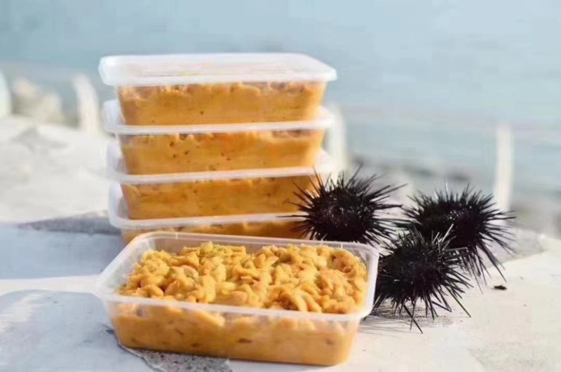 性价比非常高的海胆营养美味