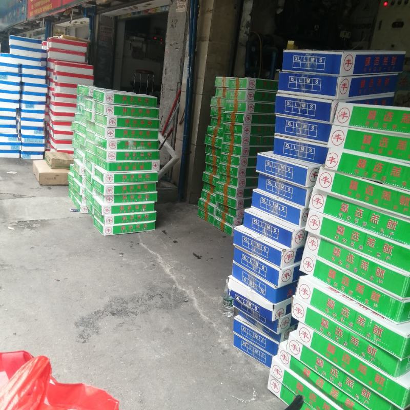 新鲜海兔子熟冻笔管鱿鱼膏鱿籽烧烤爆炒水产