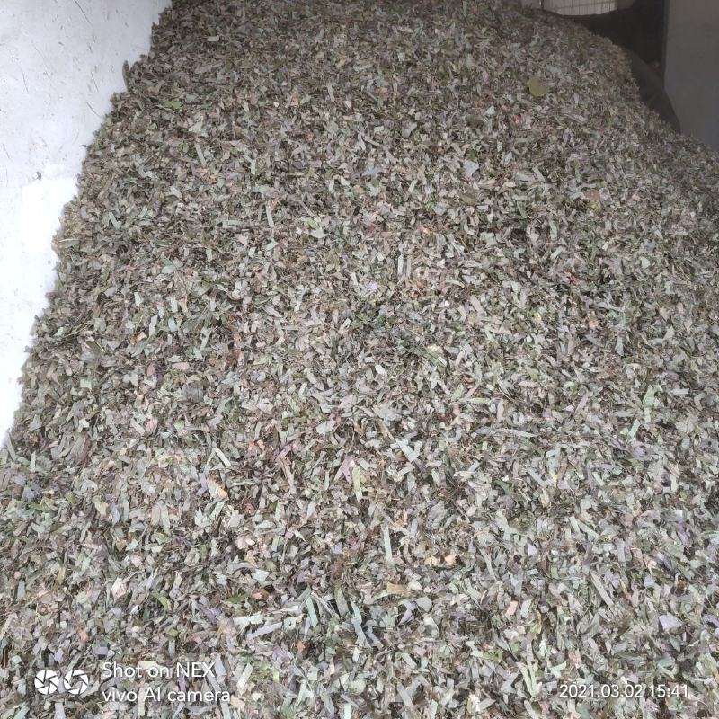 淫羊藿，大叶淫羊藿，河南淫羊藿，西峡淫羊藿，产地一手货源