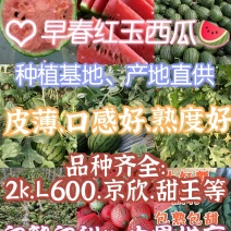 山东潍坊全美2K西瓜总产地供应各大电批发商皮薄口感好