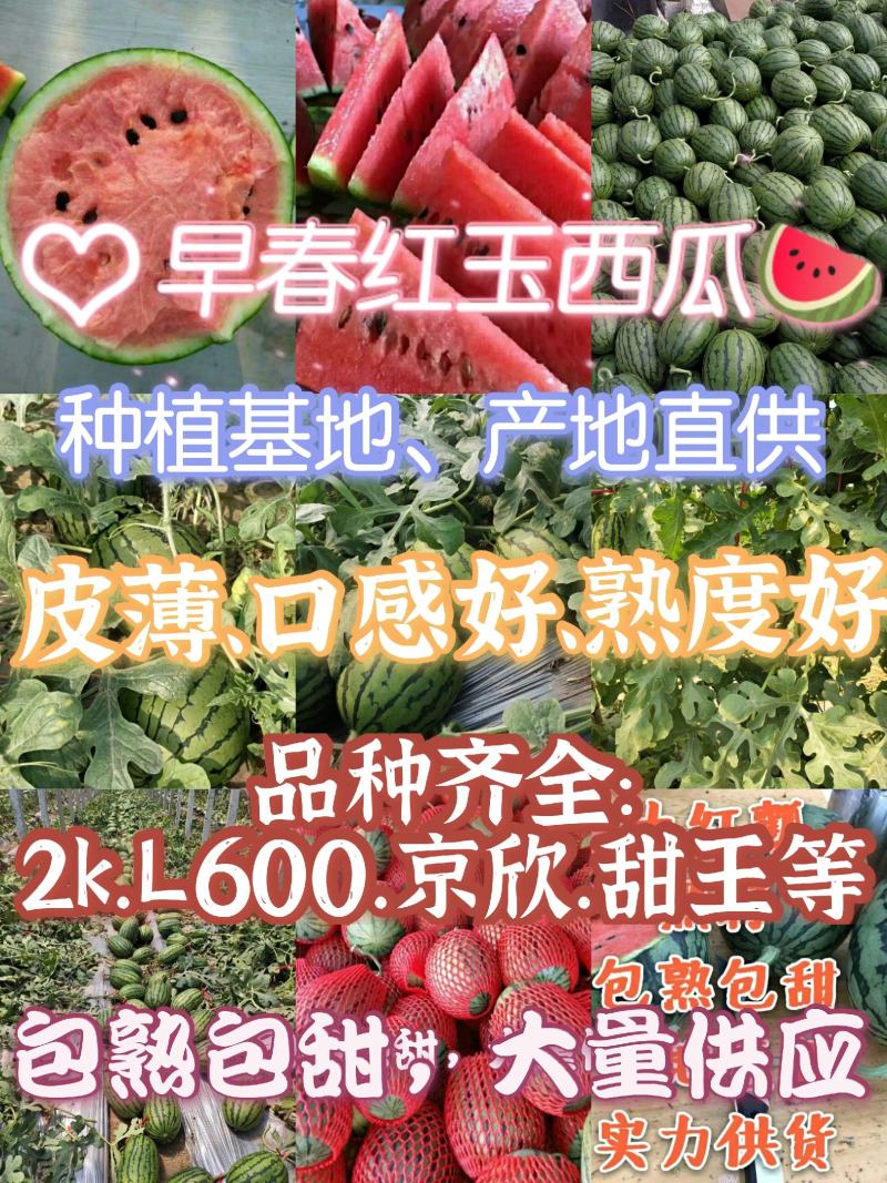 山东潍坊全美2K西瓜总产地供应各大电批发商皮薄口感好