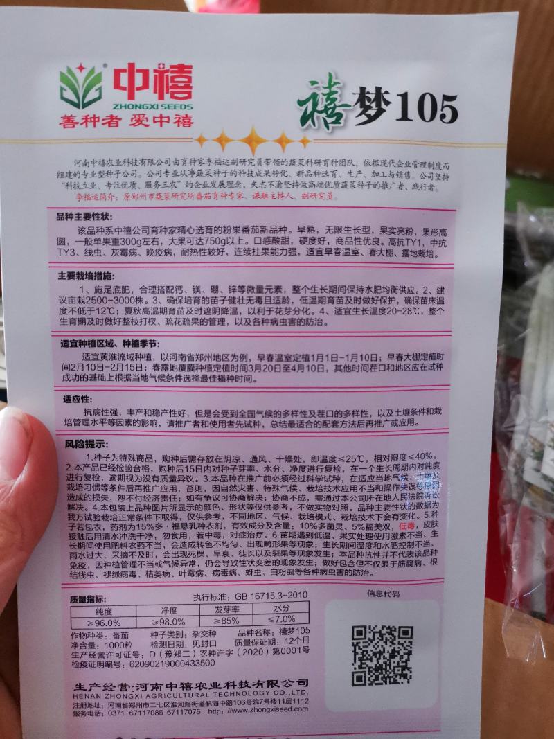【TY】番茄种子高抗病毒病品质好口感佳好上市